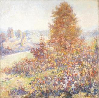 The Oaks (The Red Oak; Autumn Pageant)