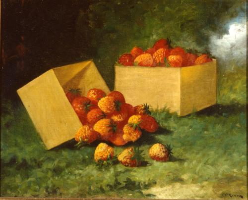 Untitled (Strawberries)